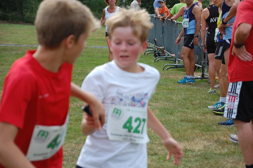 Aflossingszone 2014 - 079